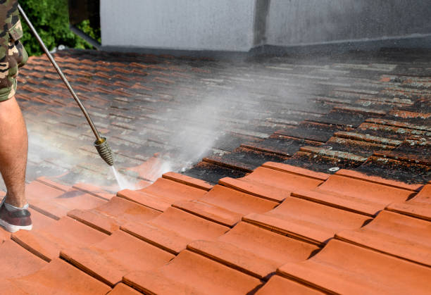 Best Pressure Washing Company Near Me  in Coquille, OR